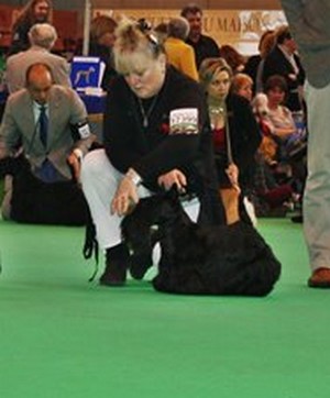 du Mat des Oyats - CHARLOTTE A  CRUFTS