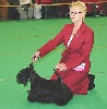  - Best in show au luxembourg ( Stevie  le papa)