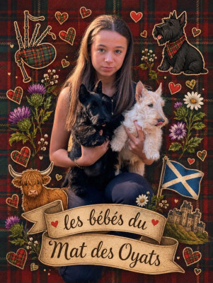 Chiot N°3